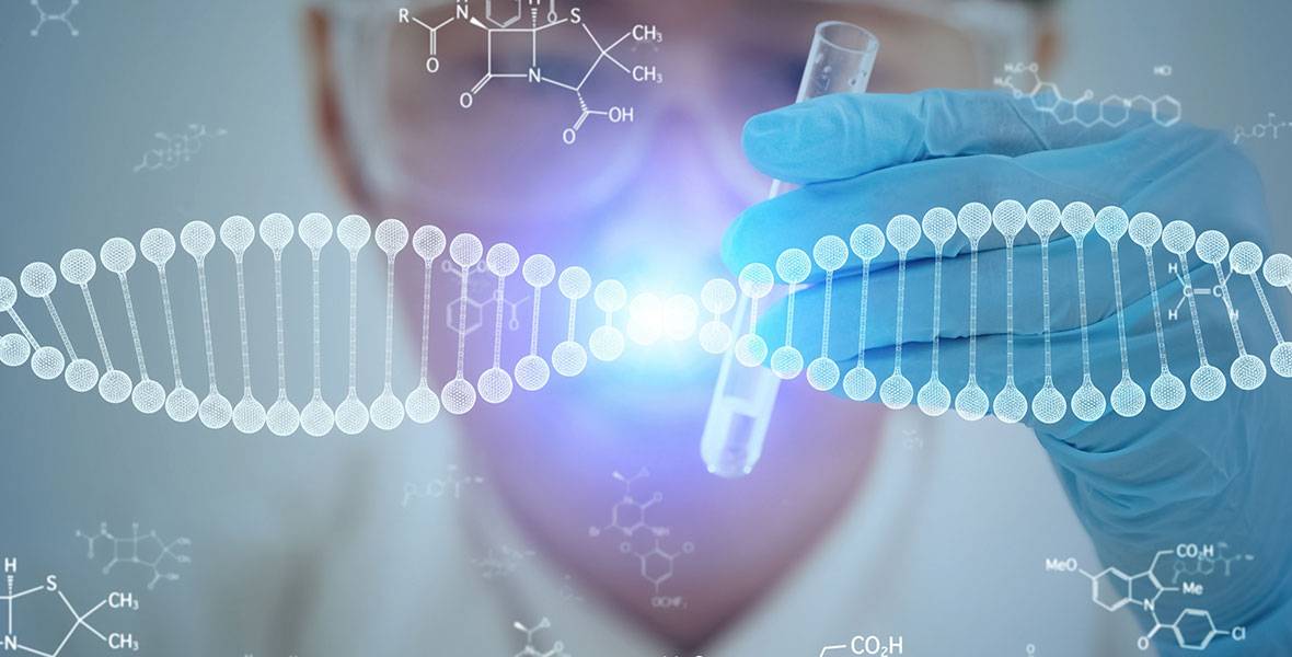 Los órganos Del Futuro Medicina Regenerativa Clínica Universidad De Navarra 