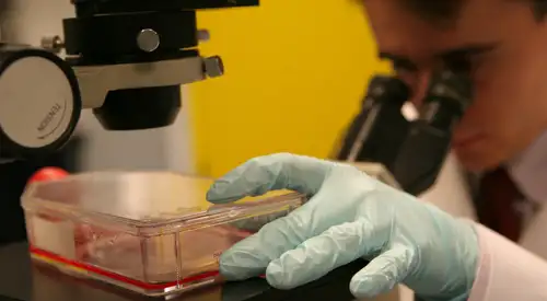 img_terapia_celular <p> Imagen terapia celular</p>